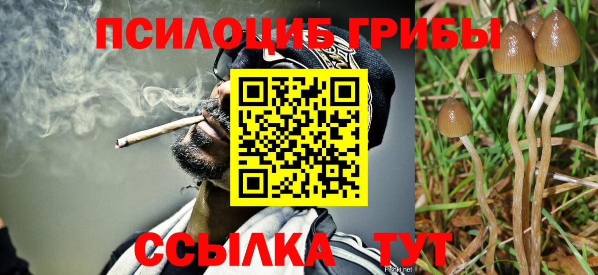 Галлюциногенные грибы Cubensis  Вход с VPN  Сарапул  Псилоцибиновые грибы мицелий 